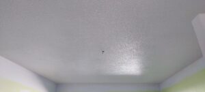 Ceiling work